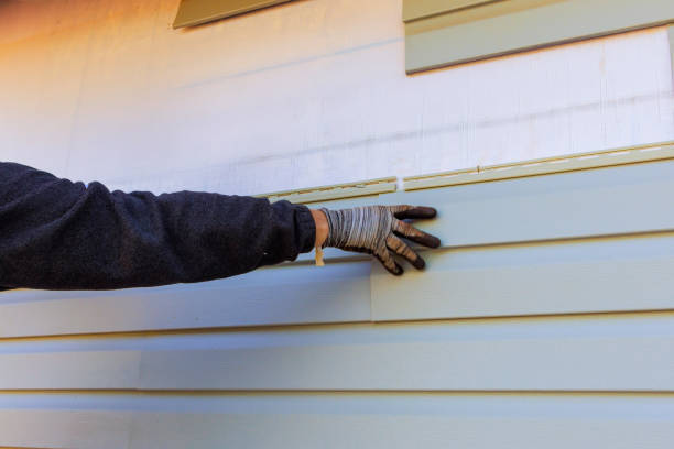 Best Aluminum Siding Installation  in USA